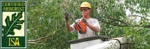 Philadelphia tree service certification