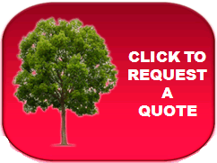 Tree_service_Request_Quote