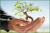 tree pruning services center city pa