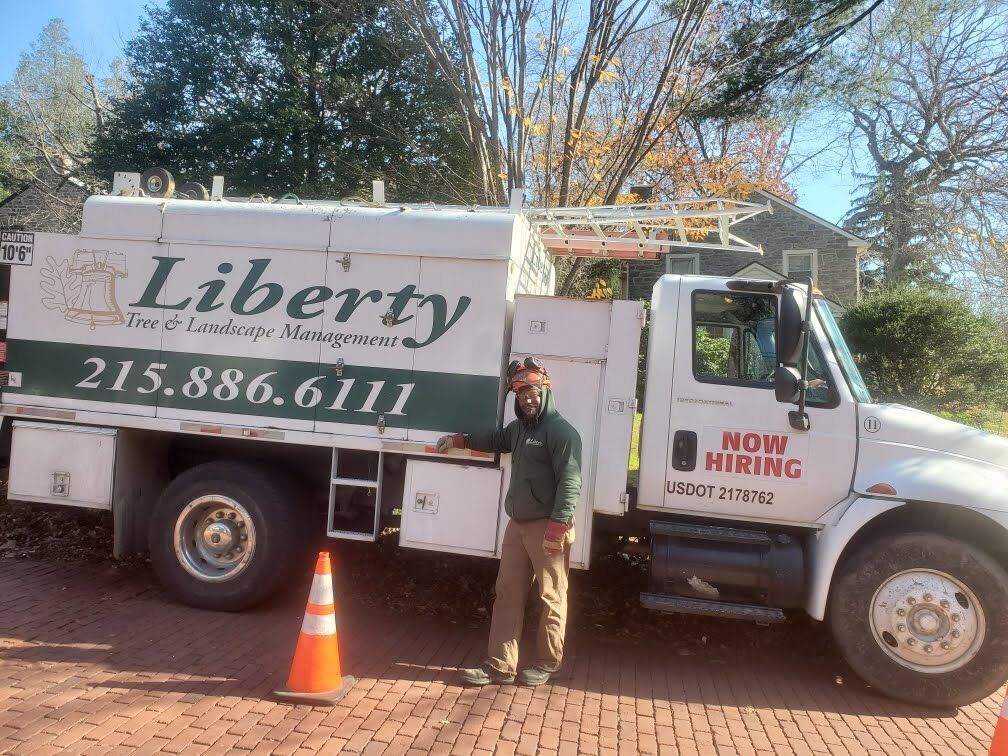 Liberty Certified Arborist evaluates trees to determine tree service needs.