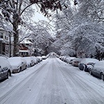 winter-tree-services