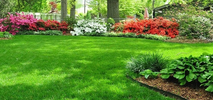 Philadelphia Lawn Mowing, Weeding, Fertilizing & Edging