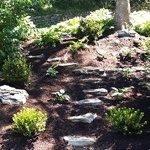 tree mulch