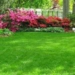 summer landscaping