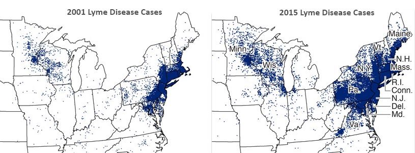 lyme disease cases