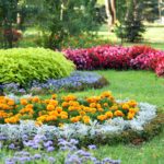 Video: Summertime Landscaping Dos and Don’ts