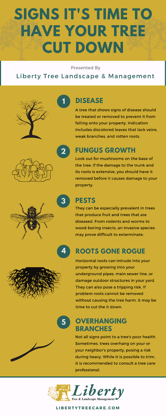 How to Know If a Tree on Your Property Needs to Be Cut Down Liberty