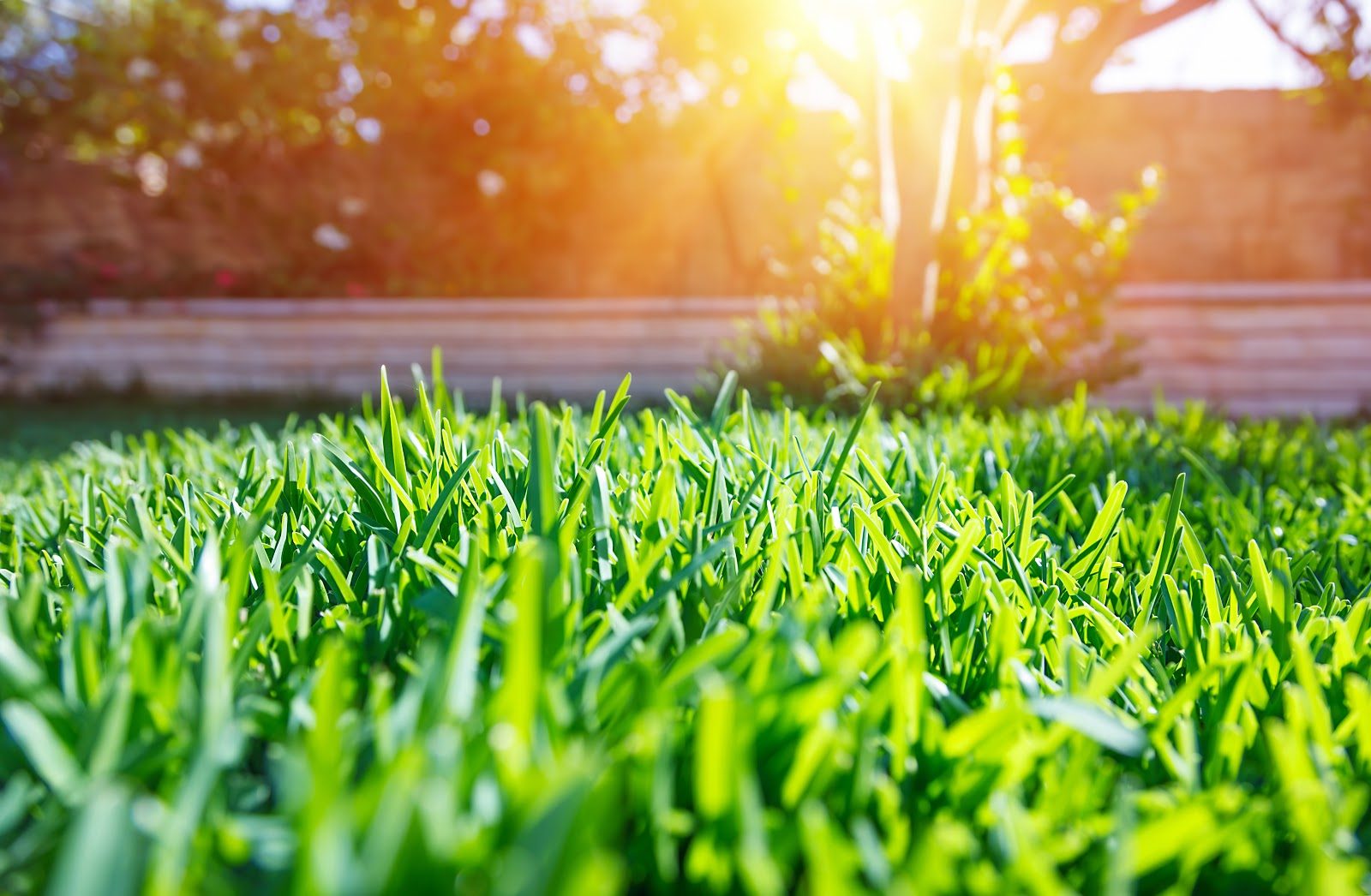 How Do I Get My Yard Ready For Spring?