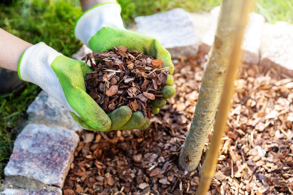 Why Is Mulching Important?