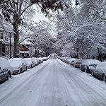 Winter storm in Philadelphia often brings tree damage.