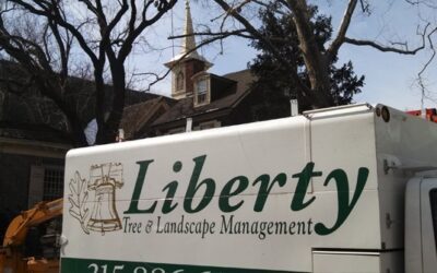 3 Reasons Why Homeowners Turn to Liberty Tree & Landscape Management