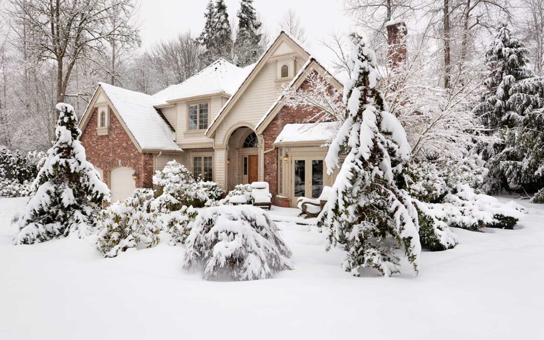 How to Protect Your Home’s Trees from Winter Weather