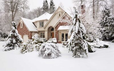 How to Protect Your Home’s Trees from Winter Weather