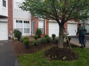 Mulching Garden Beds