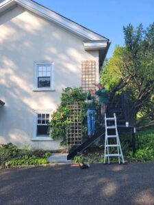 Arbor Pruning