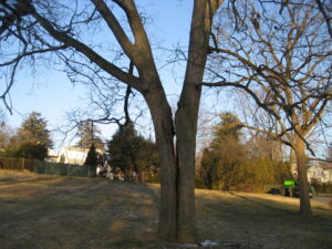 Split Trunk-Through Bolt and Cable Needed